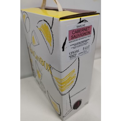 Bag in Box Cabernet Sauvignon | Marche 13°